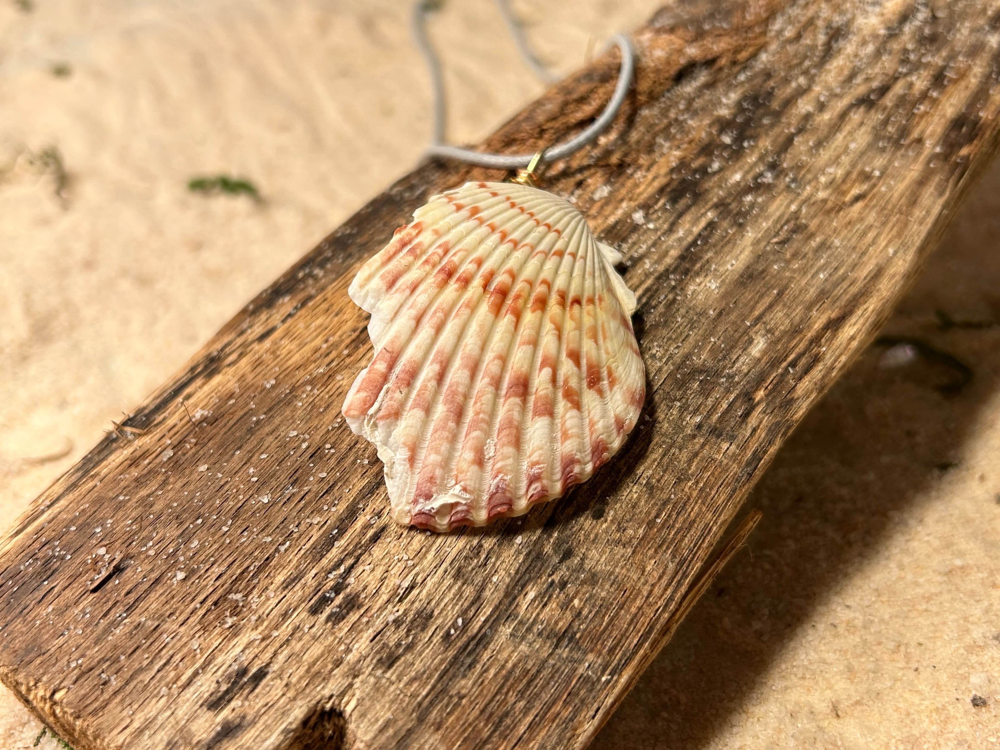 Shell & Pearl Necklaces